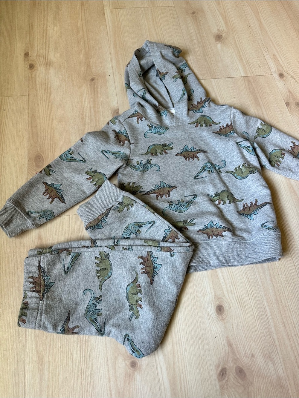 Carter's Grey Hoodie & Joggers with Green and Brown Dino Print
